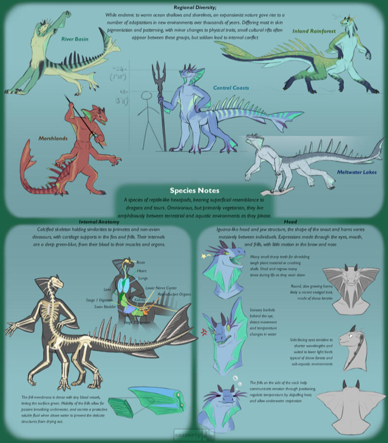 A large page of a centaur dragon creature with several colour variations, some anatomical diagrams, and different expressions along with explanatory text.